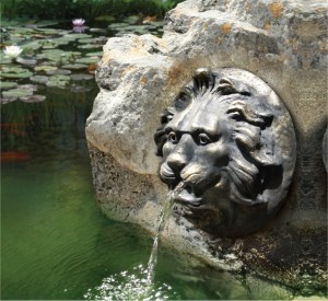 lion_pond